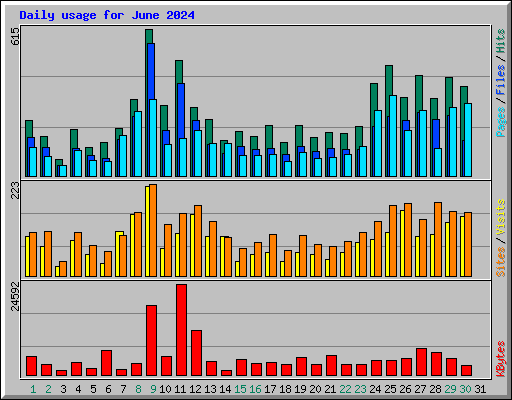 Daily usage for June 2024