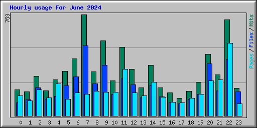 Hourly usage for June 2024