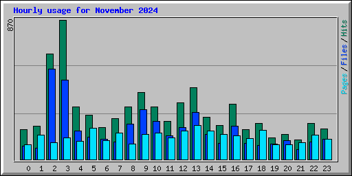 Hourly usage for November 2024
