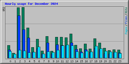 Hourly usage for December 2024