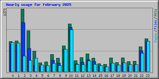Hourly usage for February 2025