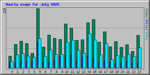 Hourly usage for July 2025
