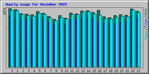 Hourly usage for December 2025
