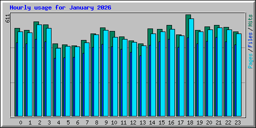 Hourly usage for January 2026