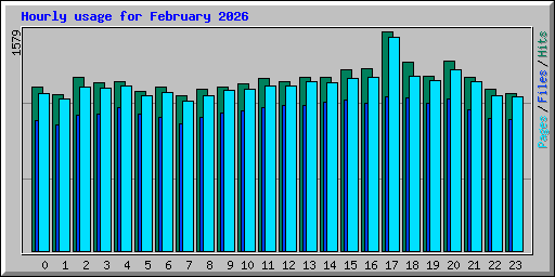Hourly usage for February 2026