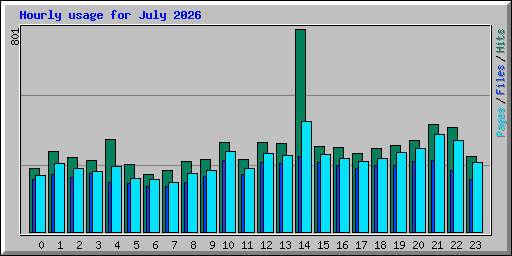 Hourly usage for July 2026
